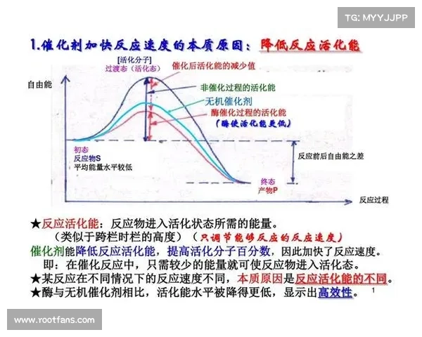 如何全面评估澳洲杯赛事水平及其影响因素分析