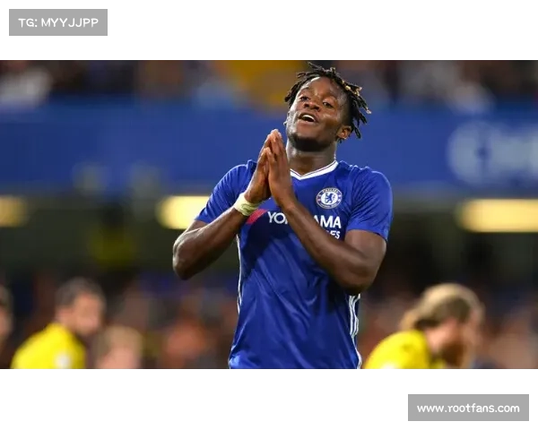 巴舒亚伊语言运用技巧与表达风格解析指南